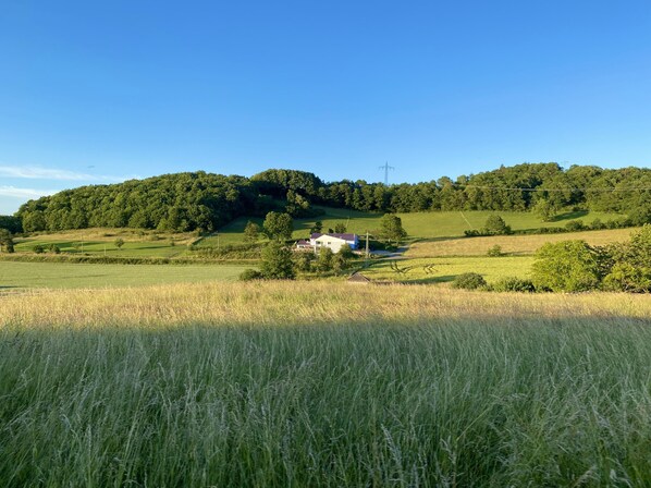 A rural landscape with rolling hills, a white house, and a power line tower in the distance.