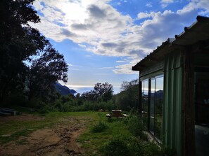 Unclassified image, 3 of 14, button