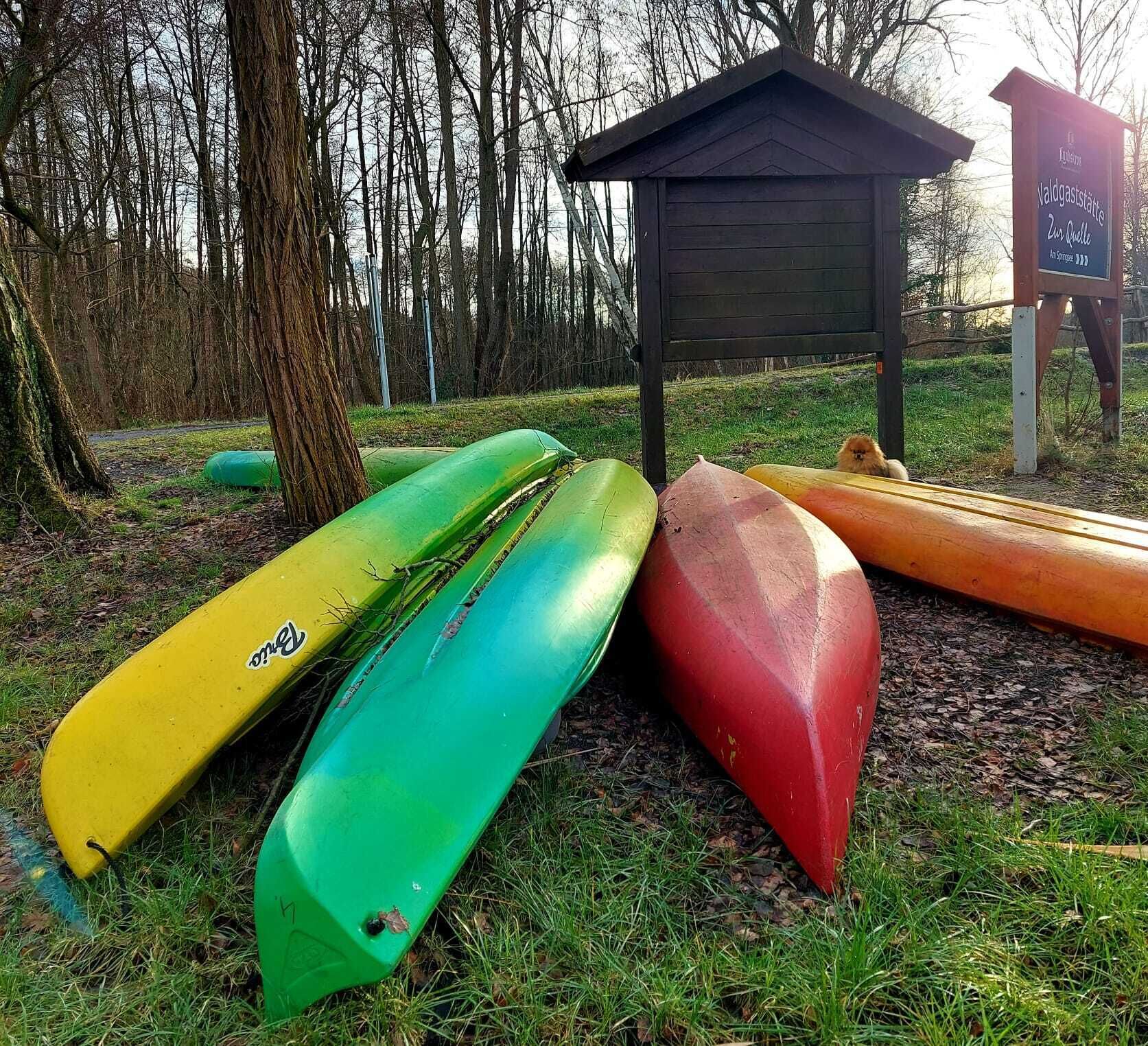 Une rangée de kayaks aux couleurs vives est posée sur l’herbe, avec une petite structure en bois et un panneau en arrière-plan.