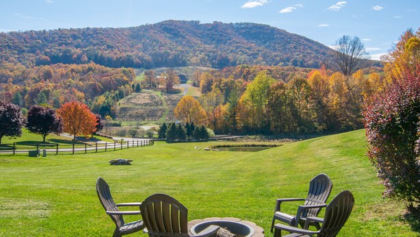 A grassy outdoor area with Adirondack chairs and a fire pit, surrounded by autumn-colored trees and a hill in the background. - Log Cabin in West Jefferson - Fishing Pong + Hot Tub + Fire Pit + Mountain Views (West Jefferson)