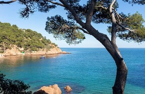 A coastal scene with a clear view of the sea, rocky shoreline, and a tree in the foreground.