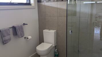 Shower, towels, toilet paper