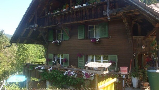 Un chalet en bois doté d’un balcon, de volets verts et de plantes en pot.