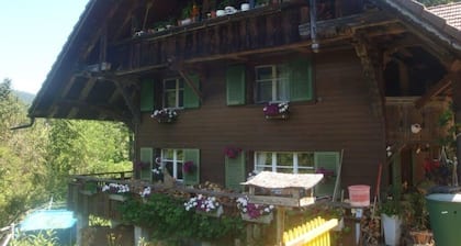 Bright, sunny vacation apartment on the farm