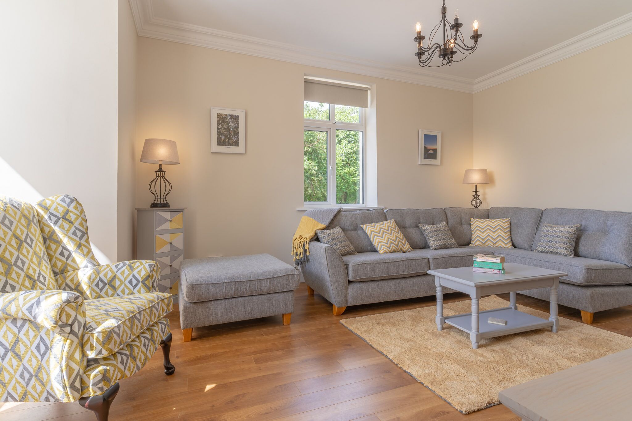 TV connectée, cheminée, livres, enceintes connectées