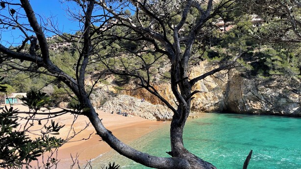 Un paysage côtier caractérisé par une eau turquoise et limpide, des falaises rocheuses et une végétation clairsemée.