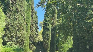 Un sentier bordé de haies et d’arbres soigneusement taillés, qui mène à une statue au bout.