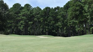 Ein Golfplatz mit einer gepflegten Spielbahn, Sandbunkern und hohem Nadelwald im Hintergrund.