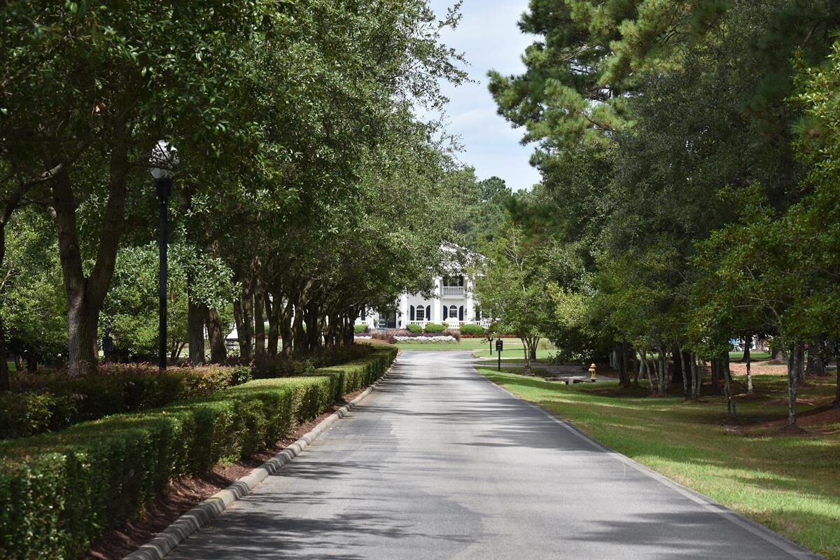 A tree-lined street leading to a large white building with a symmetrical facade.