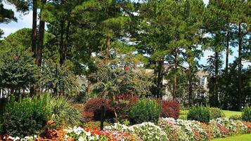 Studio | Property grounds