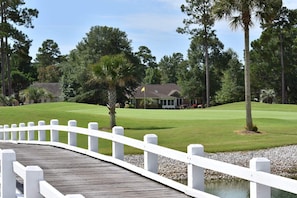 Studio | Golf - 3005l Home by Redawning (Calabash)