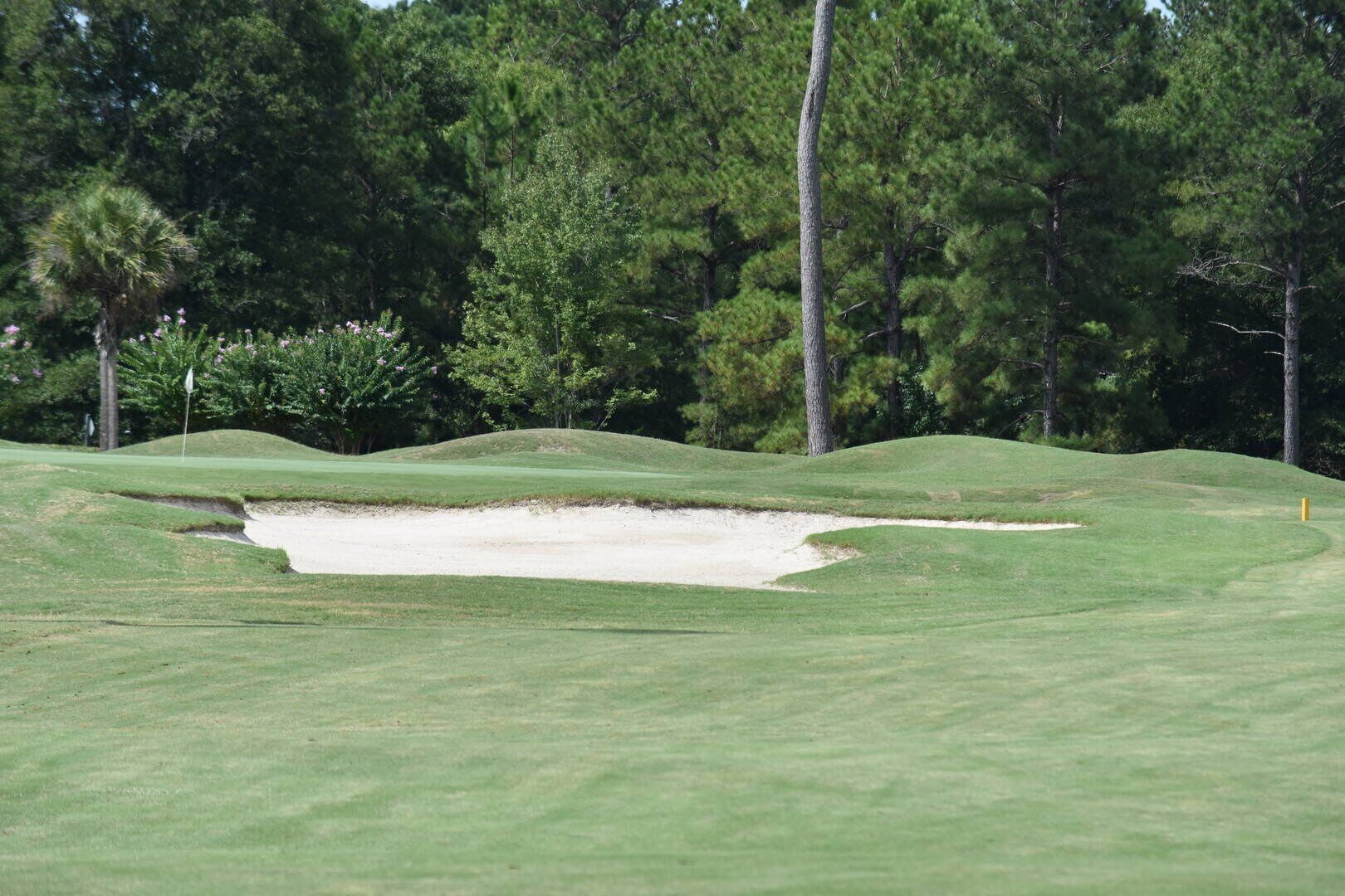 A golf course with sand bunkers and a flagstick.
