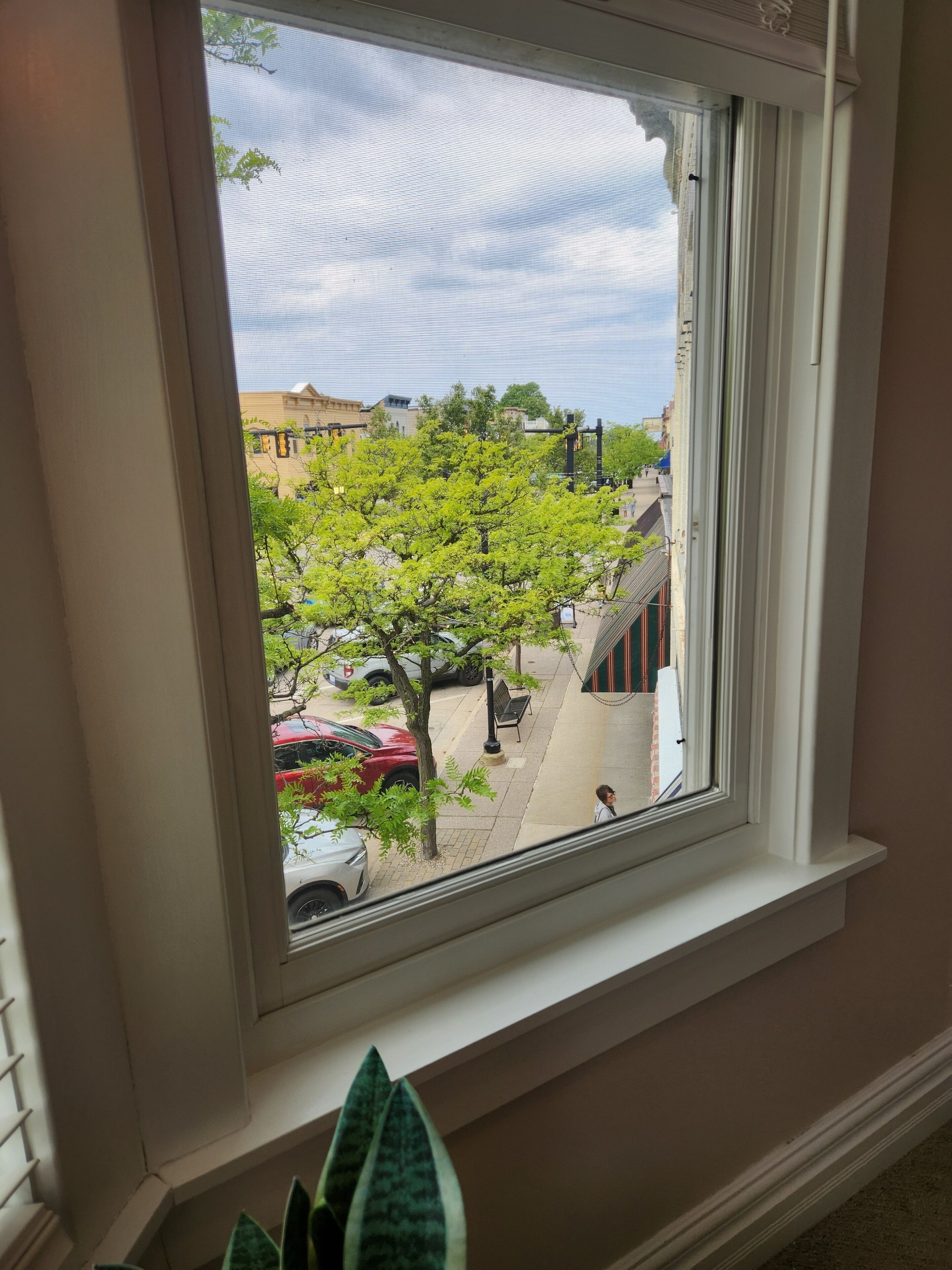 A window with a view of a street, a tree, and a building.