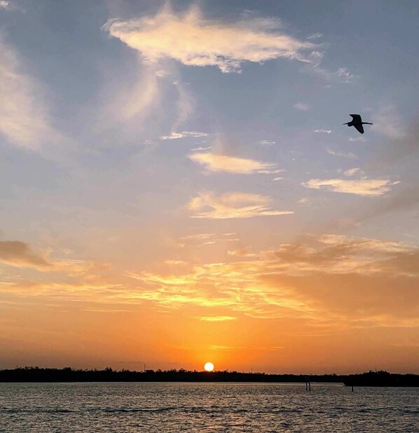 A sunset over a body of water with a silhouette of a bird flying in the sky.