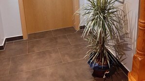 Uma porta de madeira com maçaneta de metal, um vaso com planta no canto e uma parede branca com maçaneta e interruptor de luz.