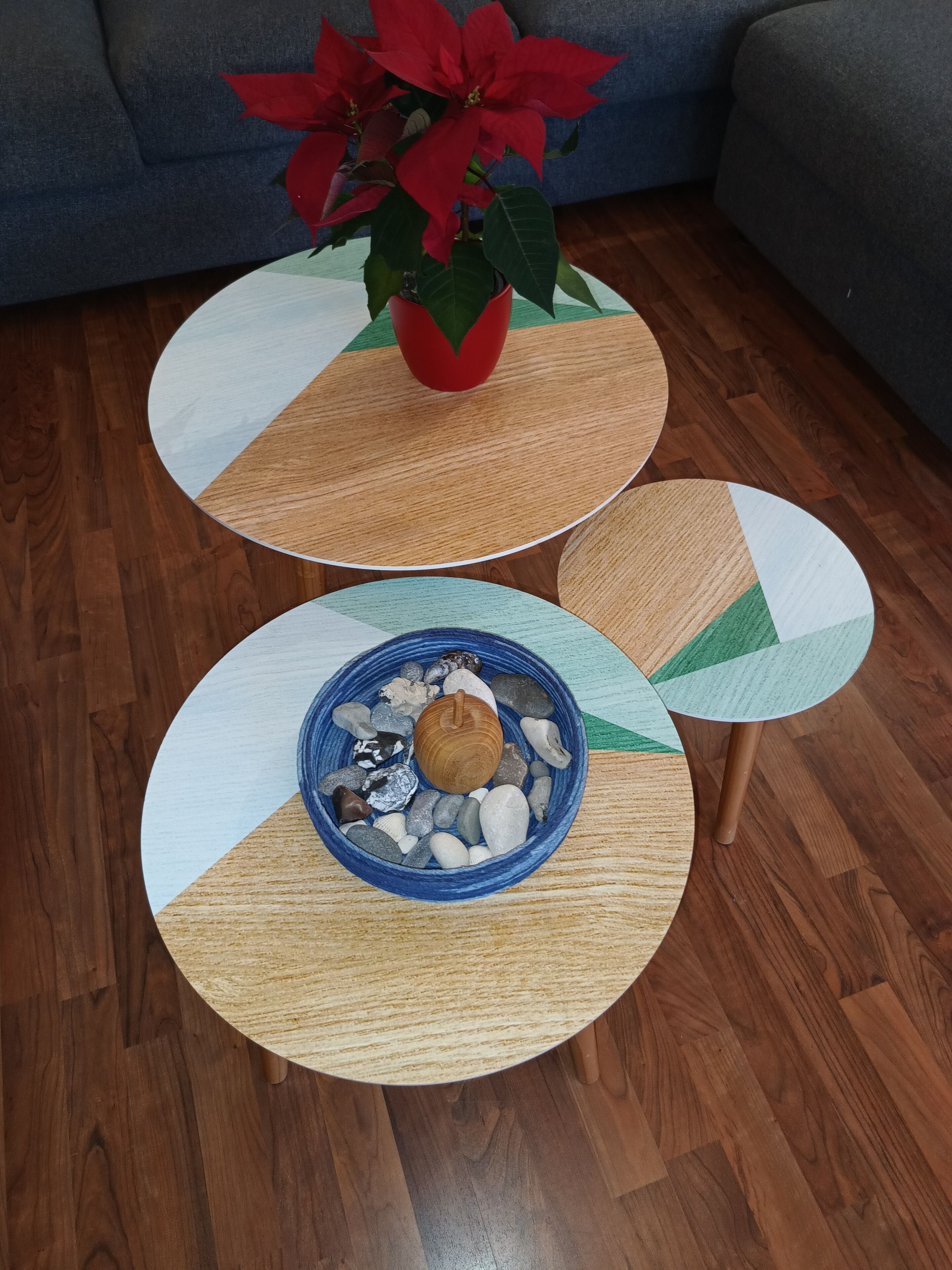 A living room with a round coffee table, a smaller side table, and a potted plant with red flowers.