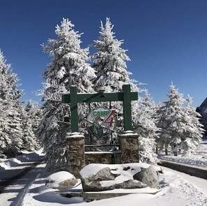 Un panneau recouvert de neige, orné d’un symbole de vélo, et entouré d’arbres chargés de neige.