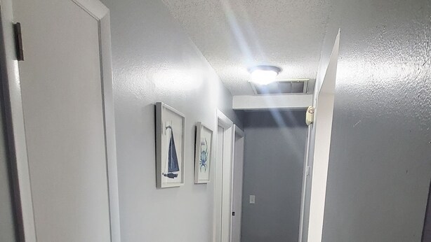 Un pasillo estrecho con una puerta blanca al final, un cuadro en la pared y una rejilla de ventilación en el techo.