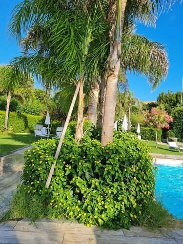 Elegant and comfortable apartment with terrace and swimming pool