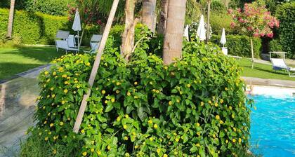 Elegant and comfortable apartment with terrace and swimming pool