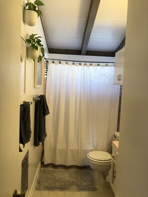 Combined shower/bathtub