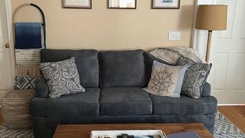 TV, Netflix, DVD player, books