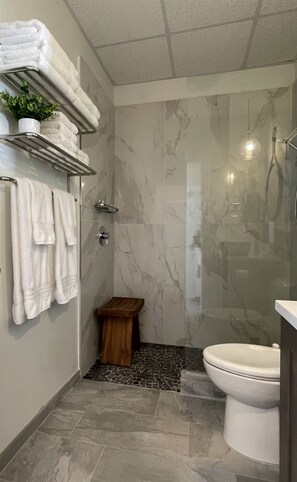 Shower, hair dryer, towels