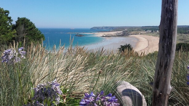 A coastal landscape with a sandy beach, grassy dunes, and a clear blue sky. - Quiet 1st floor apartment with balcony and patio, 18 km from the sea (Landebia frankreich)
