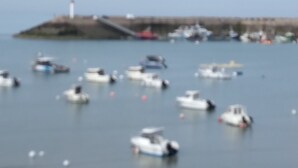 A harbor with multiple boats docked. - Quiet 1st floor apartment with balcony and patio, 18 km from the sea (Landebia frankreich)