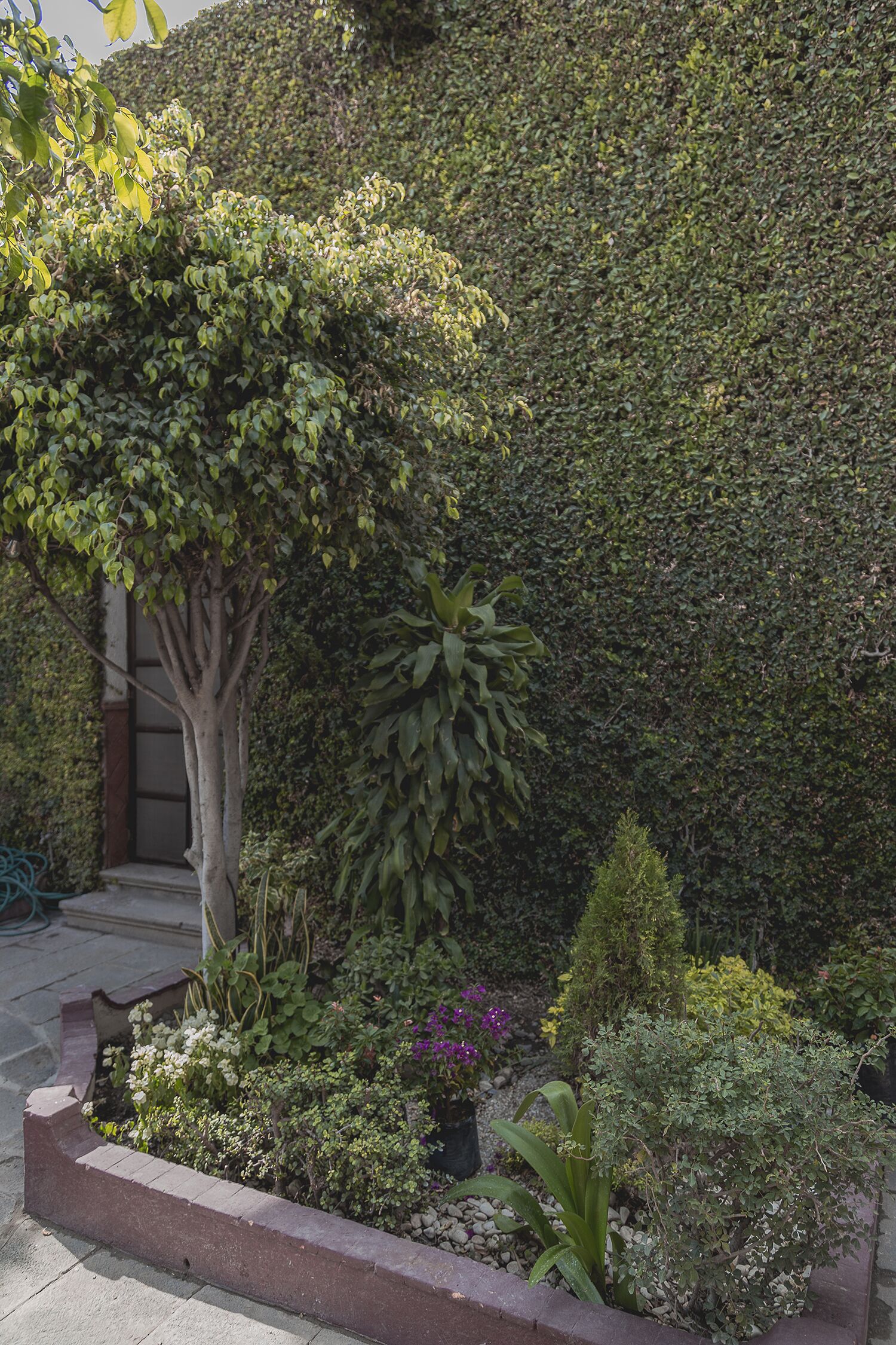 standard room (frente a terrraza) | terrace/patio