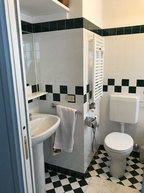 Bathtub, hair dryer, bidet