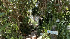 Ein schmaler Feldweg führt durch einen üppigen Garten mit verschiedenen Pflanzen und Bäumen. Ein Schild weist nach links Richtung Strand.