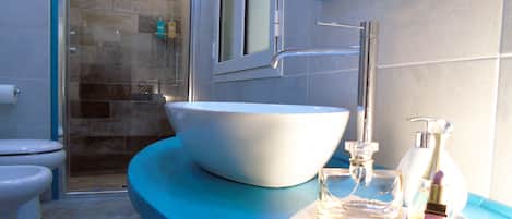 Shower, hair dryer, bidet, towels