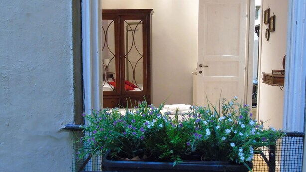 A narrow hallway with a potted plant in the foreground, a wooden cabinet with a glass door in the background, and a white door to the right.