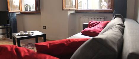 TV, DVD player, books