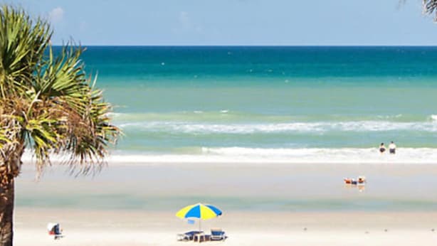 Une plage avec un palmier, un parasol bleu et jaune, et quelques personnes dans l’eau.