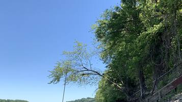 Tierra seca y agrietada cerca de un cuerpo de agua con barcos amarrados y árboles al fondo.