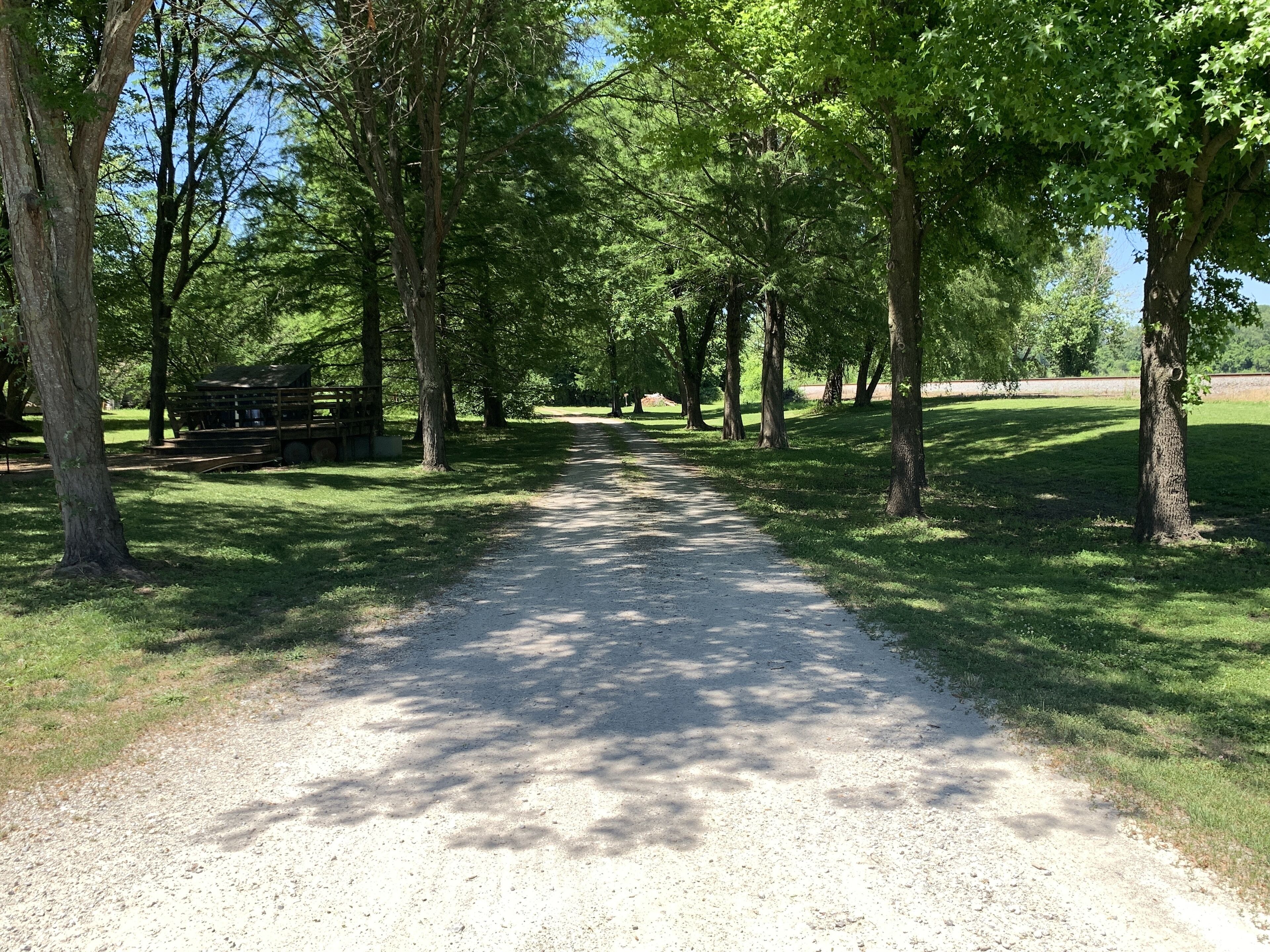 A gravel path flanked by trees in a park setting.