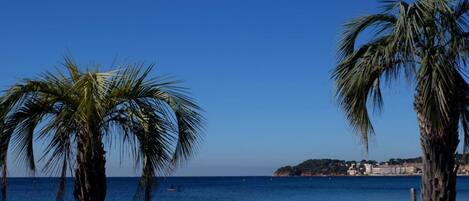 Spiaggia
