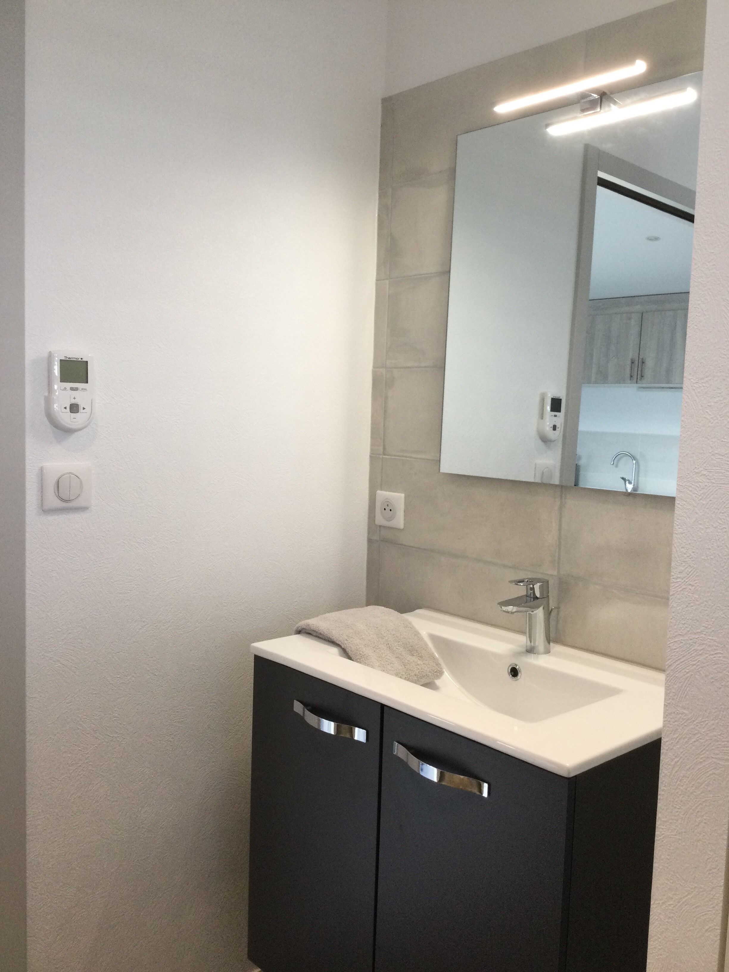 A modern bathroom with a white sink, dark cabinets, and a mirror above the sink.