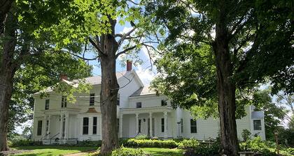 KATERINA OF OLD SARATOGA