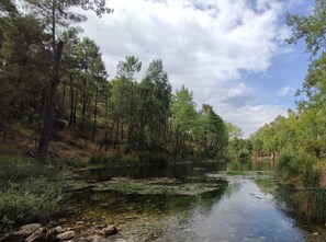 Luonnonkaunis maisema, jossa virtaa rauhallinen joki, ja jota ympäröivät tiheät metsät ja kirkas taivas.