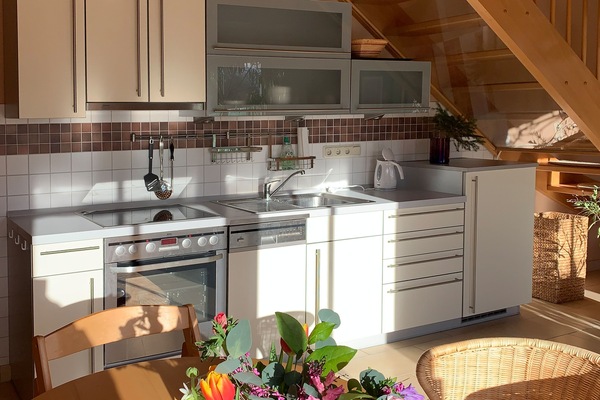 Kühlschrank, Ofen, Herdplatte, Geschirrspüler