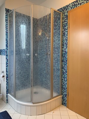 Shower, hair dryer, soap, toilet paper