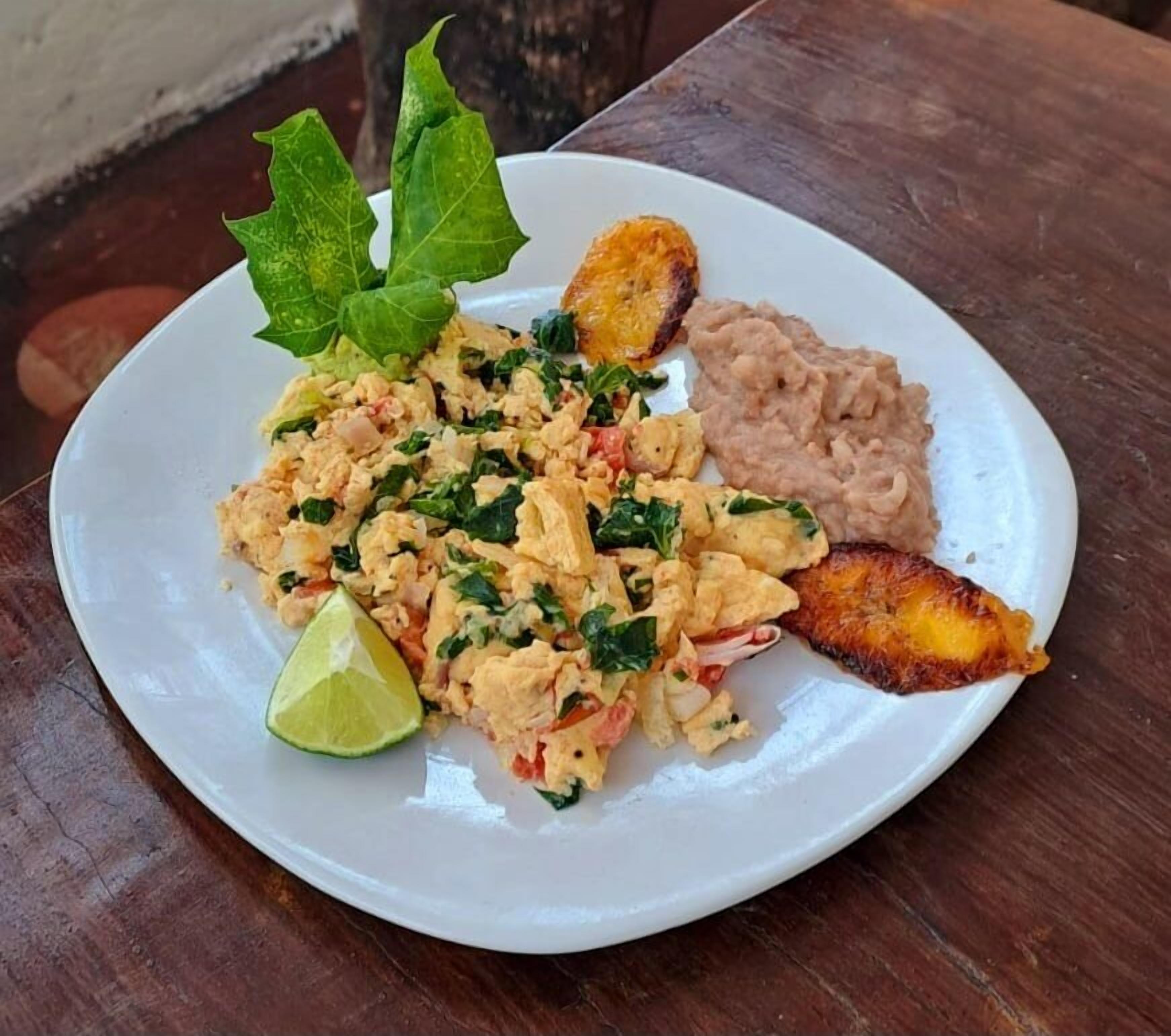 Foto - Casa Terracota