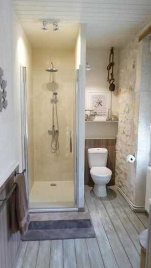 A bathroom with a glass-enclosed shower, a toilet, and a sink. - Les Persiennes (Saintes)