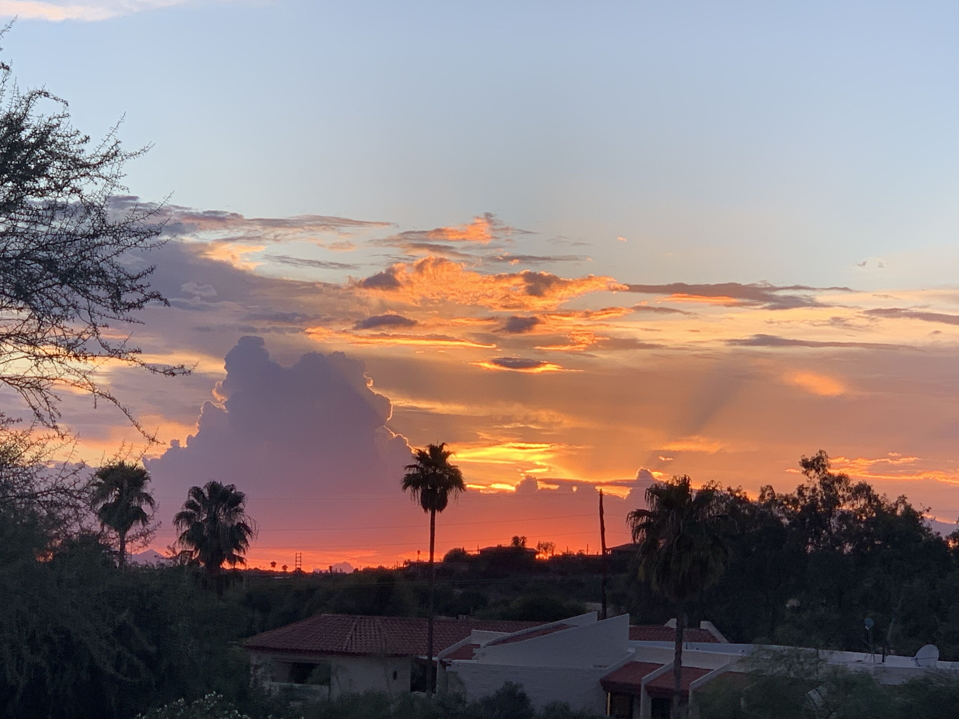 Cozy and Quiet Catalina Foothills Condo With Stunning Mountain Views!