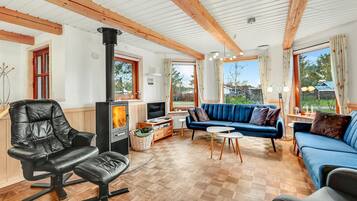 TelevisiĂłn, chimenea