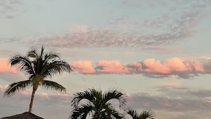 A beach scene with palm trees and a sky with clouds. - Rose is located directly on Medano Beach the best swimmable beach in Los Cabos (Cabo San Lucas)