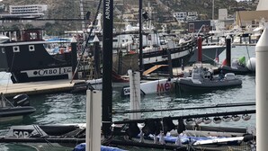 A marina with various boats docked, including a white boat with 'HYT' and a black boat with 'CABO LE'. - Rose is located directly on Medano Beach the best swimmable beach in Los Cabos (Cabo San Lucas)